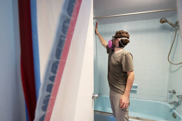 Reliable Albany, TX Mold Removal Solutions