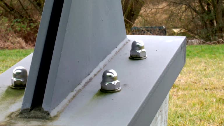 Best Industrial Mold Remediation  in Albany, TX